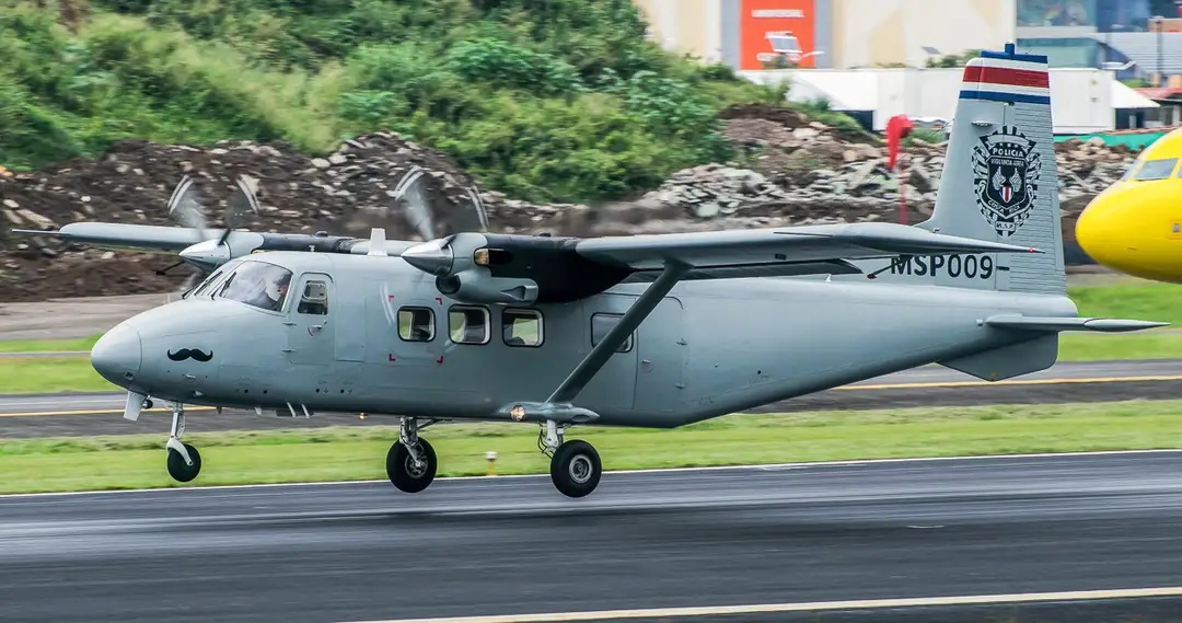 ������������Ĺ����������-12