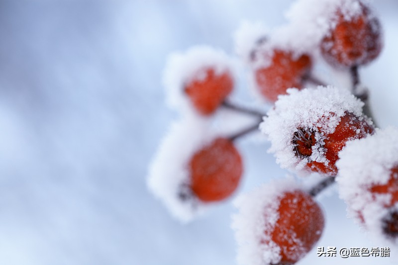 How is snow scene little respect patted good-looking? Graph of 9 pieces of give typical examples teachs you 3 photography skill, take beautiful winter view