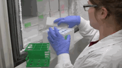 如果拉屎能赚钱，如何拉成亿万富翁？