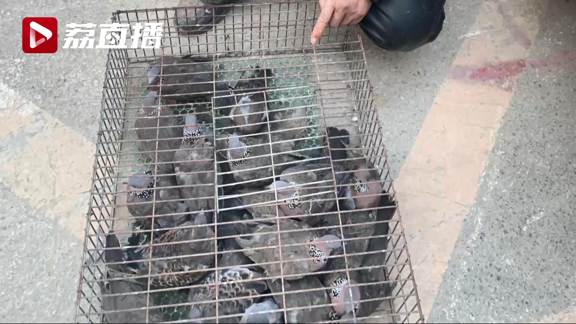 路边兜售的&ldquo;野味&rdquo;有国家二级保护动物！民警循线索去抓嫌疑人时其正在捕鸟