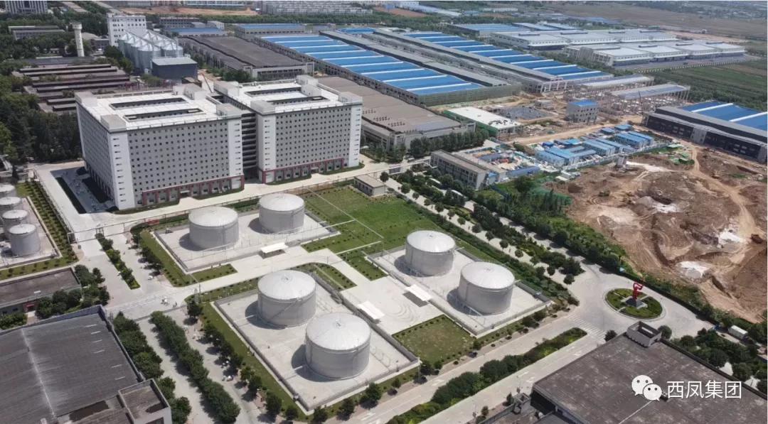 高举圣火 在名酒复兴的全新赛道上一路向前