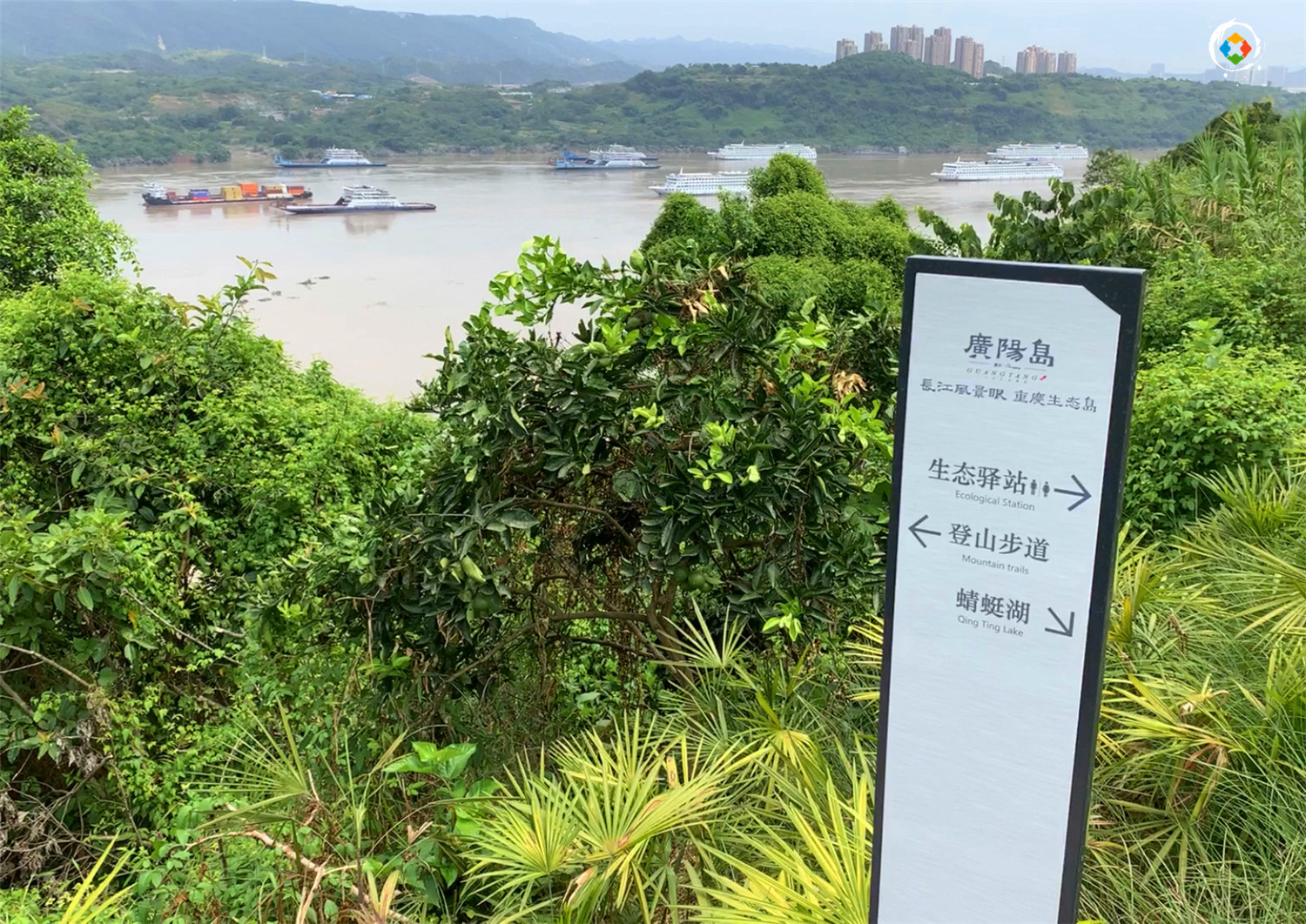 重庆广阳岛的昙花一现，仅开放3个月，却成功入选国家级创新基地