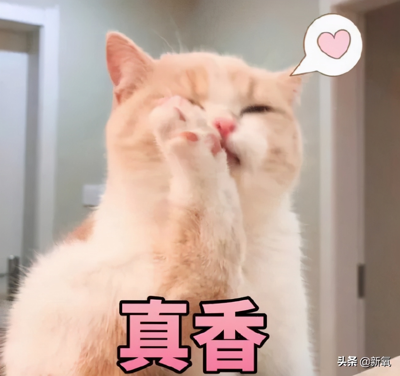 女明星们的好皮肤，当真是得益于戒糖吗？