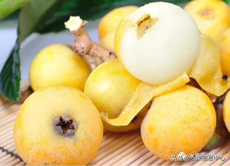 中國(guó)到底哪里的枇杷最好吃?