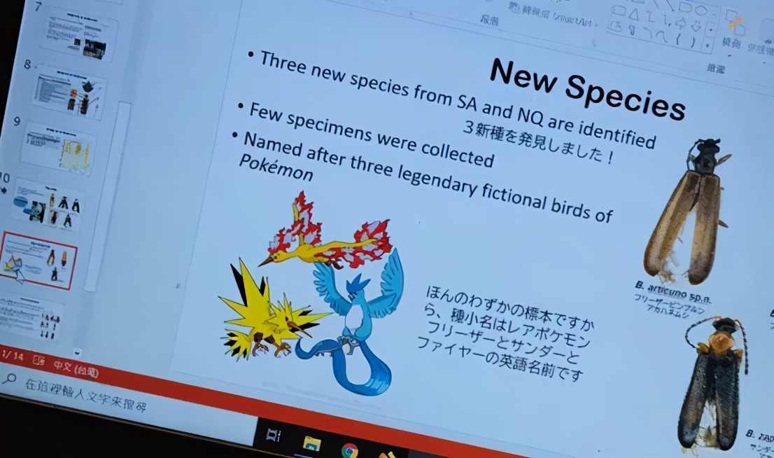 一位華人昆蟲學家用寶可夢給新發現的甲蟲命名 遊研社 Mdeditor