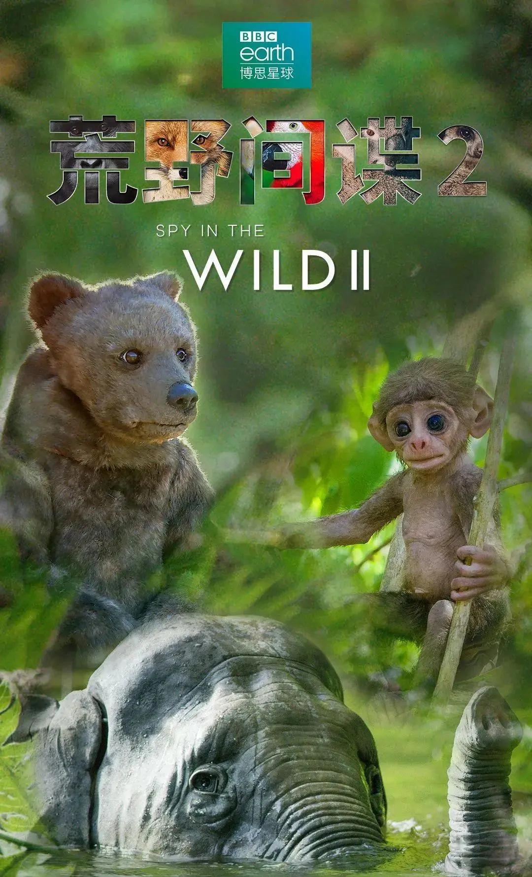 八部最新自然纪录片，陪你度过一个有意义的寒假