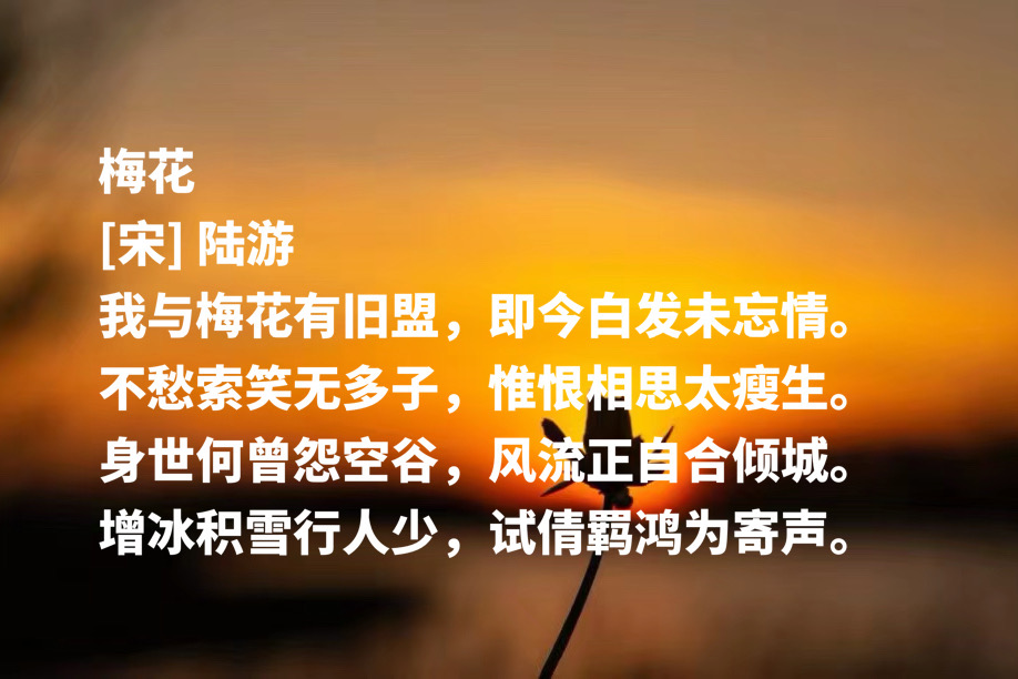 用一生谱写爱国主义壮歌-第10张图片-非凡网