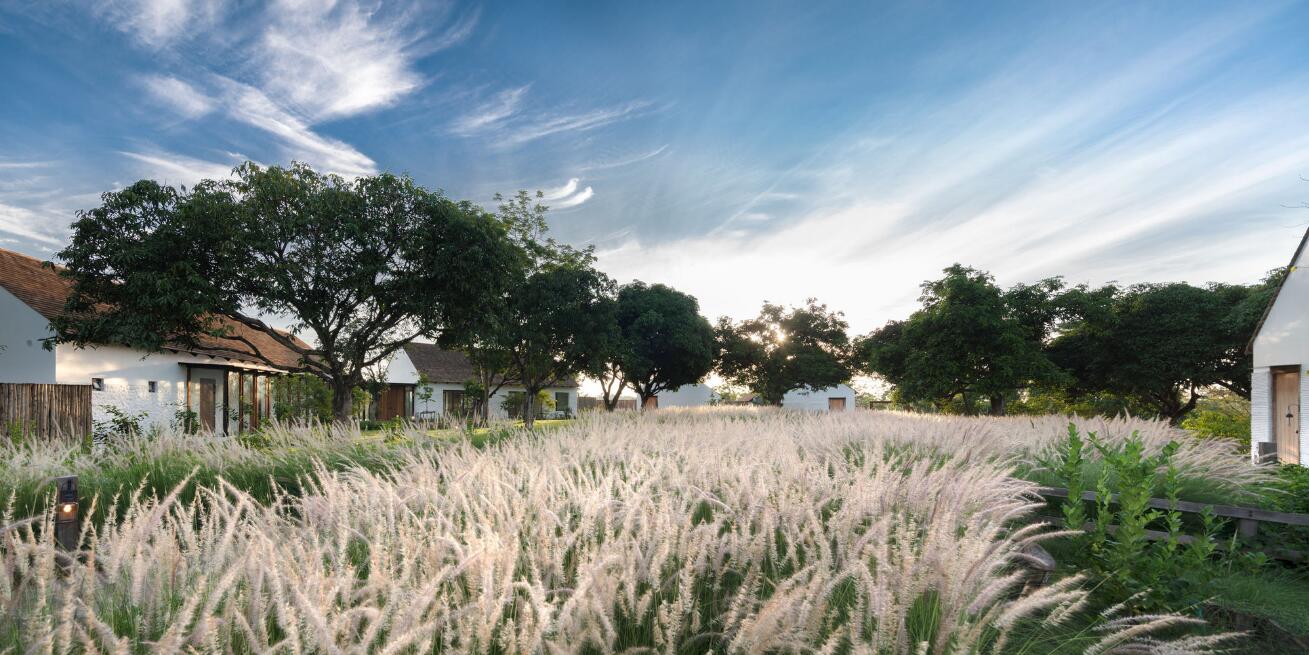 数字经济规模接近1.3万亿？“十四五”加速构筑农业农村现代化