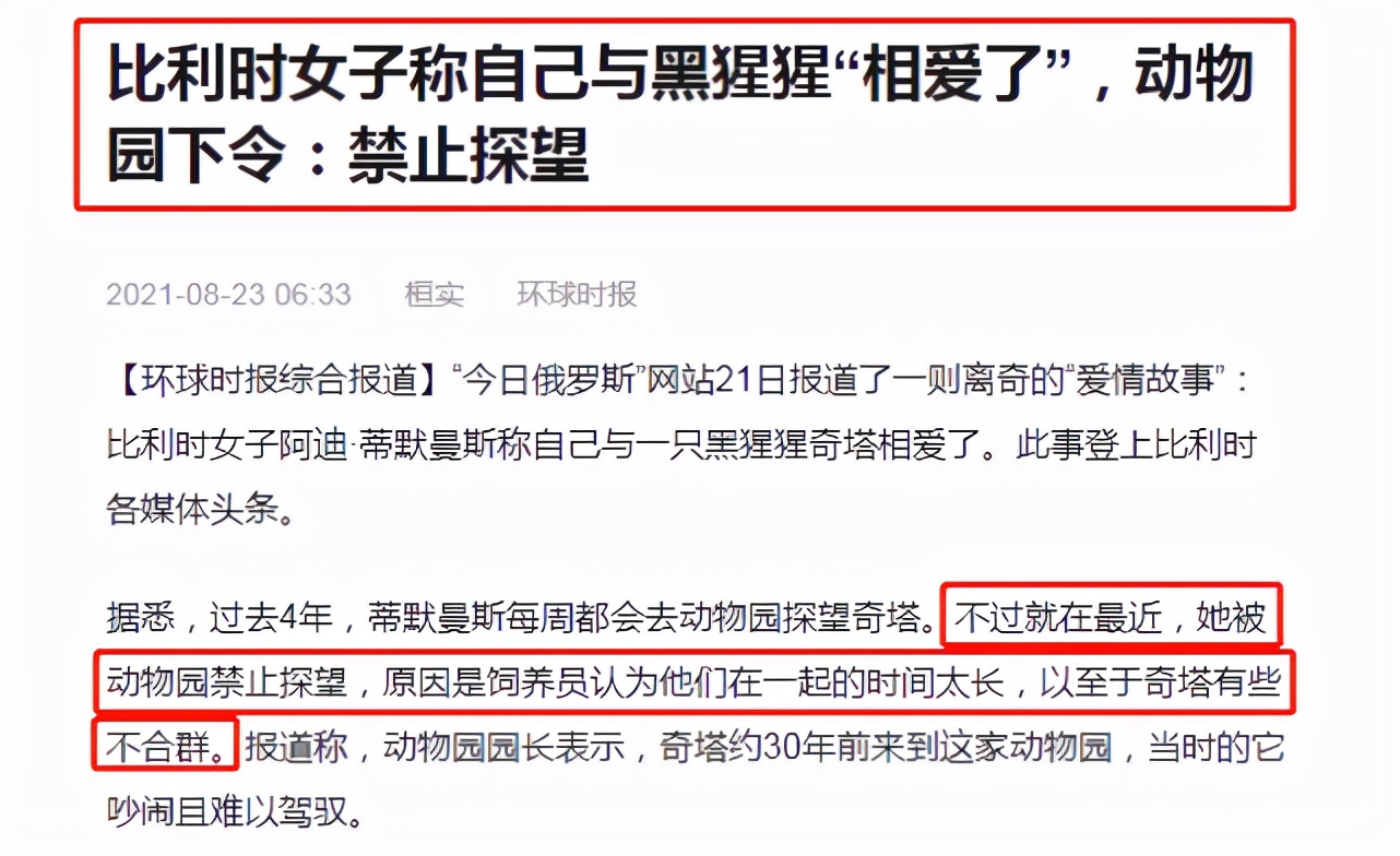 比利时女子与黑猩猩相爱，动物园禁止她继续探望，网友：棒打鸳鸯