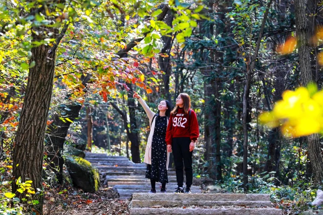 「必讀」雞公山無(wú)限次旅游年卡，你想知道的都在這里