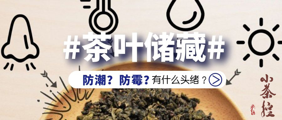 茶叶|茶叶闻起来发酸有霉味，你有什么头绪？这里有茶叶防潮防霉正确储藏之道