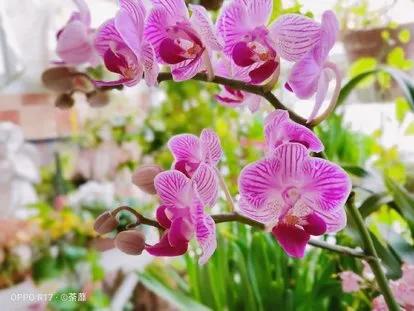 前瞻性思维，优秀文章的先行者