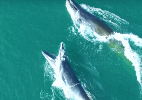 刚过完清明，这个省区又要放假了！全国人民都