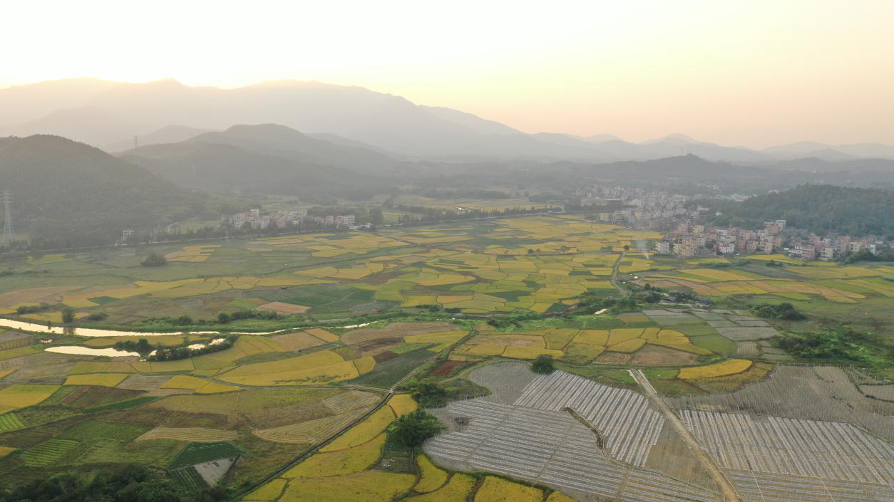 高质量打赢脱贫攻坚战 铸就英厚村乡村振兴梦