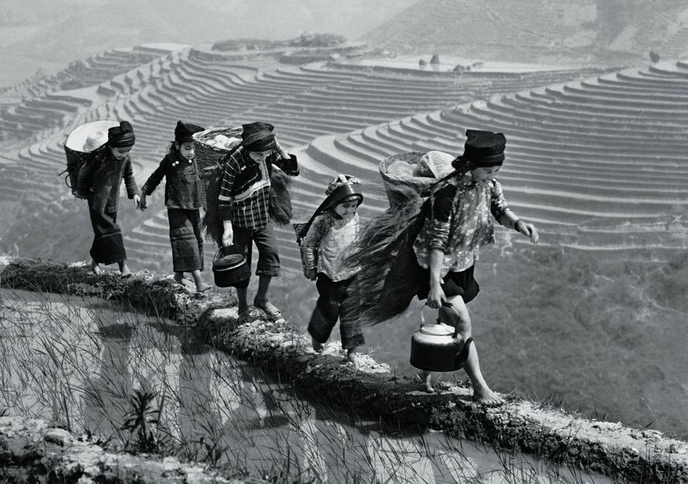 五六十年代整天吃鹹菜，為什麼高血壓的人還少？ 醫生說出答案