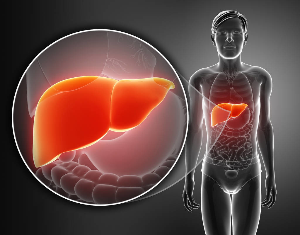 干细胞研究有助于治疗非酒精性脂肪肝