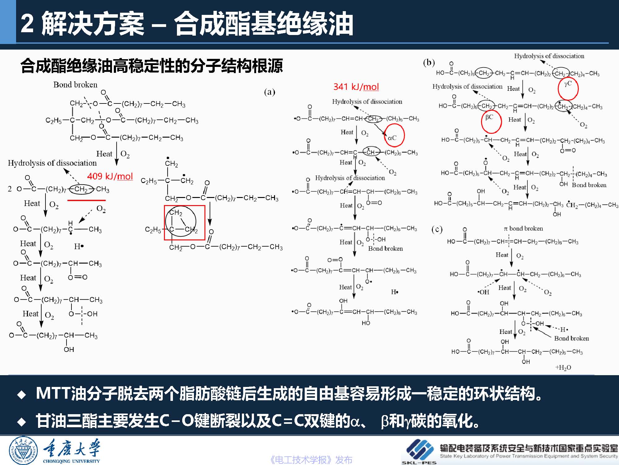 重庆大学 王飞鹏 研究员：环保安全的酯基绝缘油