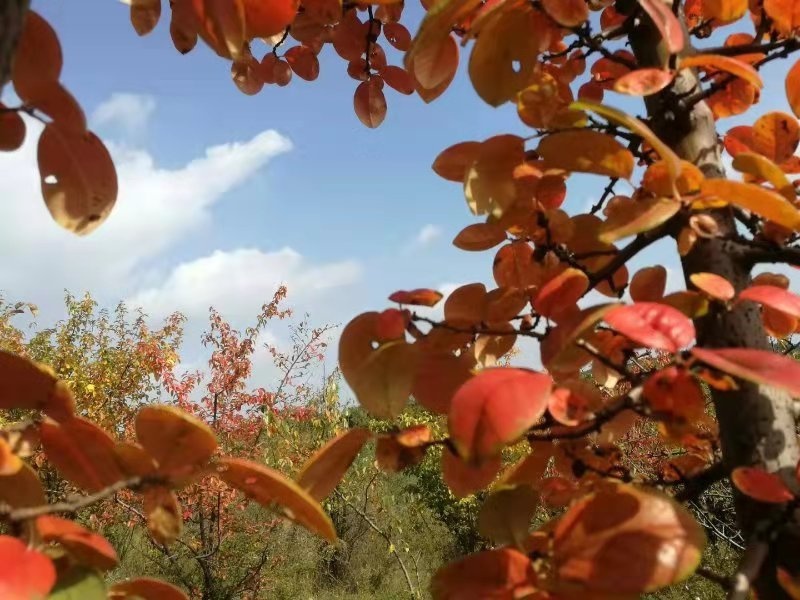 �׽����������Ļ����ν����湥�ԡ��ʺ�����