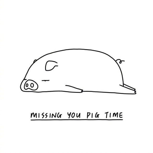 假期里的每日常态咸鱼瘫没有什么比年后再说更治愈了