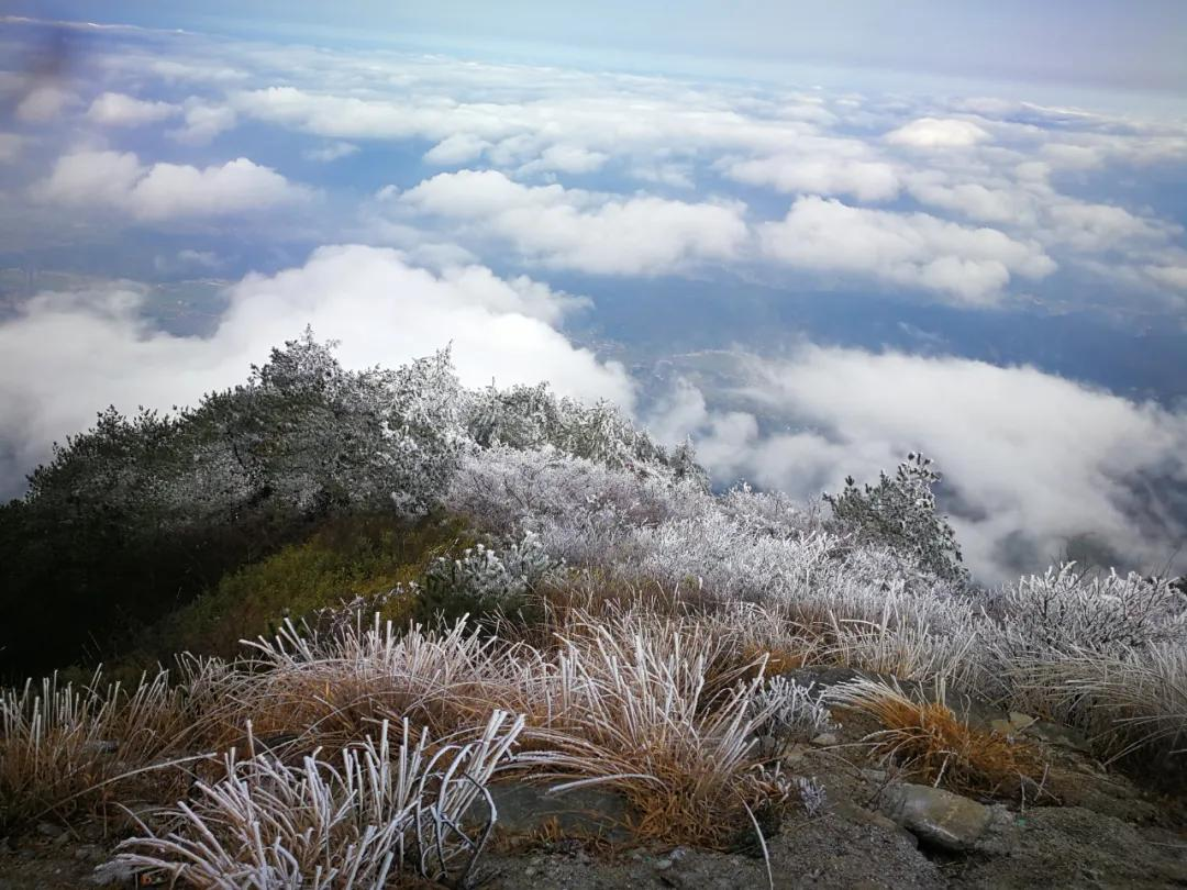 美哭｜3月2日天岳幕阜山现大面积雾凇美景，晶莹剔透美极了.