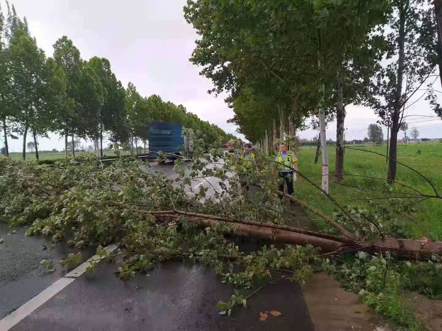 ���ݹ���ӭ��ս�꣬��·���˰���