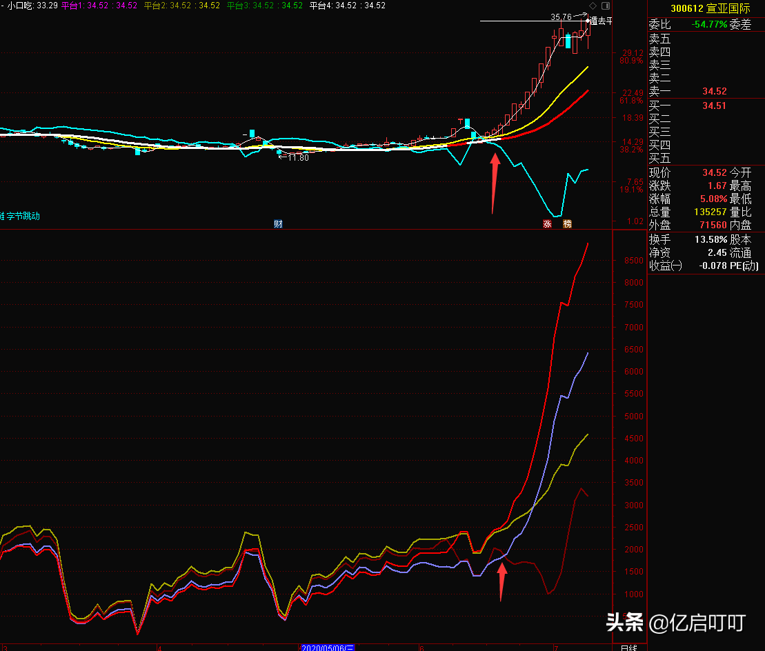 不是猛龙不过江