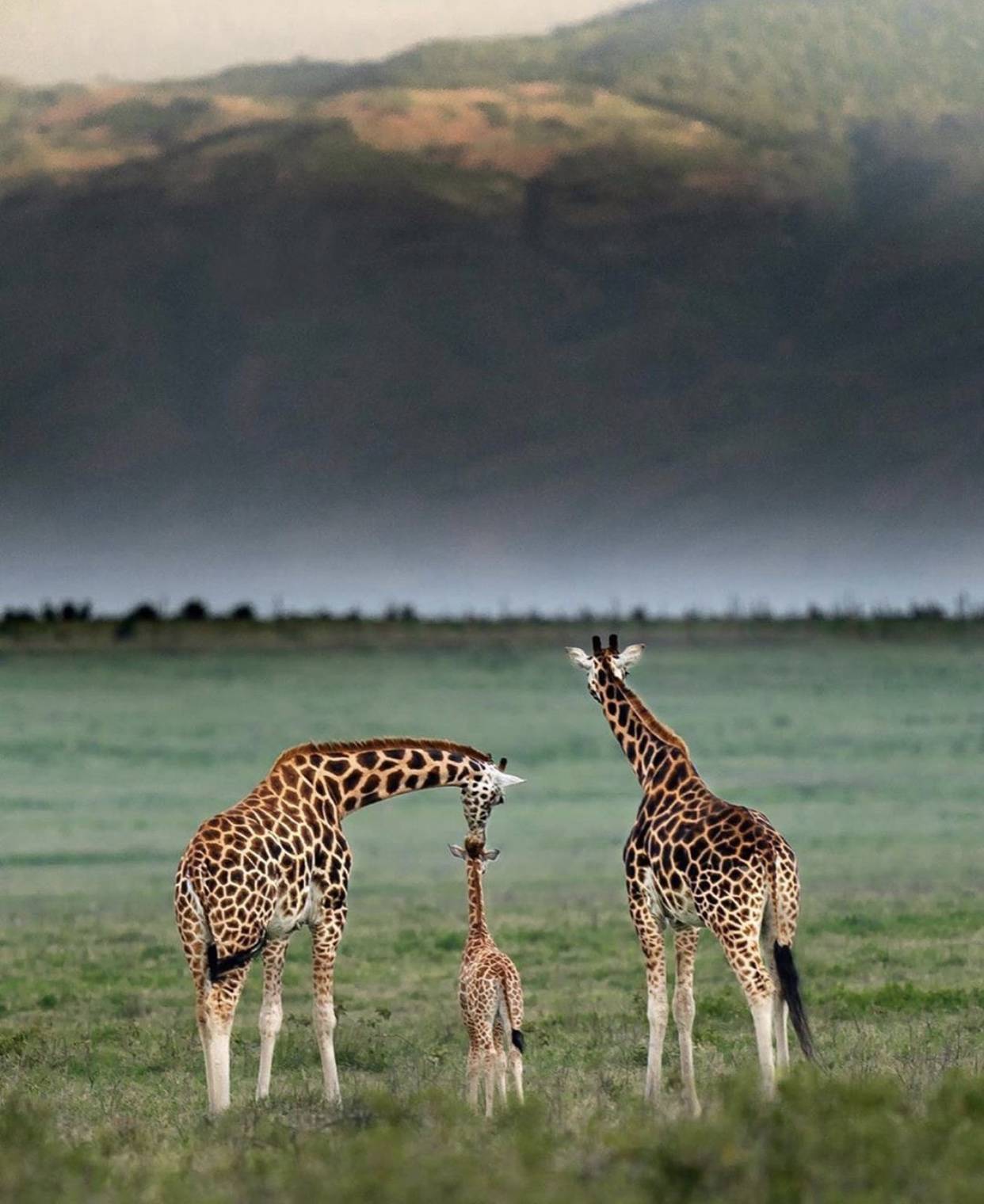 從這些照片裏，感受到了生命的溫度