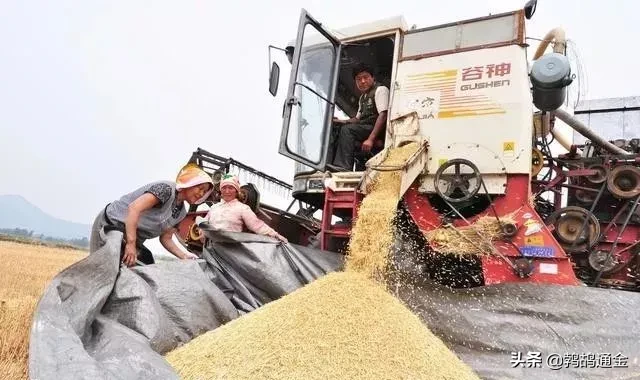 我替农民问个尖锐的问题：粮食价格要求平稳，