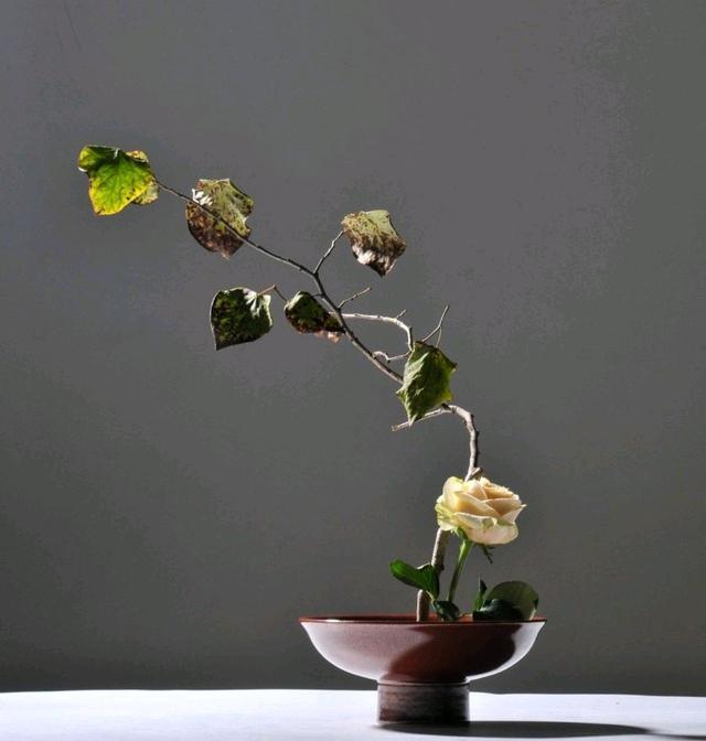 百读不厌的人生感悟 读懂一半受益终生图片