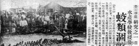 世界6大未解之谜,它们都曾真实发生过,却至今无法解释-第6张图片-大千世界 世界6大未解之谜,它们都曾真实发生过,却至今无法解释-第6张图片-大千世界