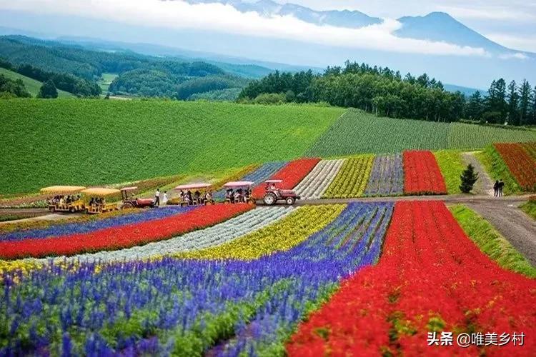 农村劳动力想很快回流，终结“空心村”现状？得先解决，四大难题