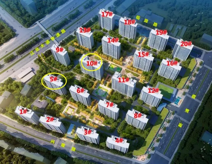 今天，南京买房人为两家新盘陷入疯狂