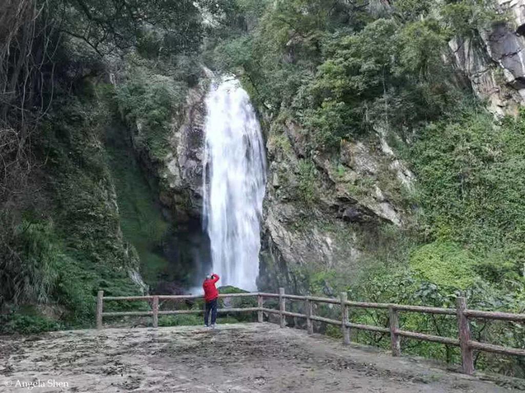 Angela的腾冲直播2—咖啡庄园、百花岭、北海湿地、银杏村