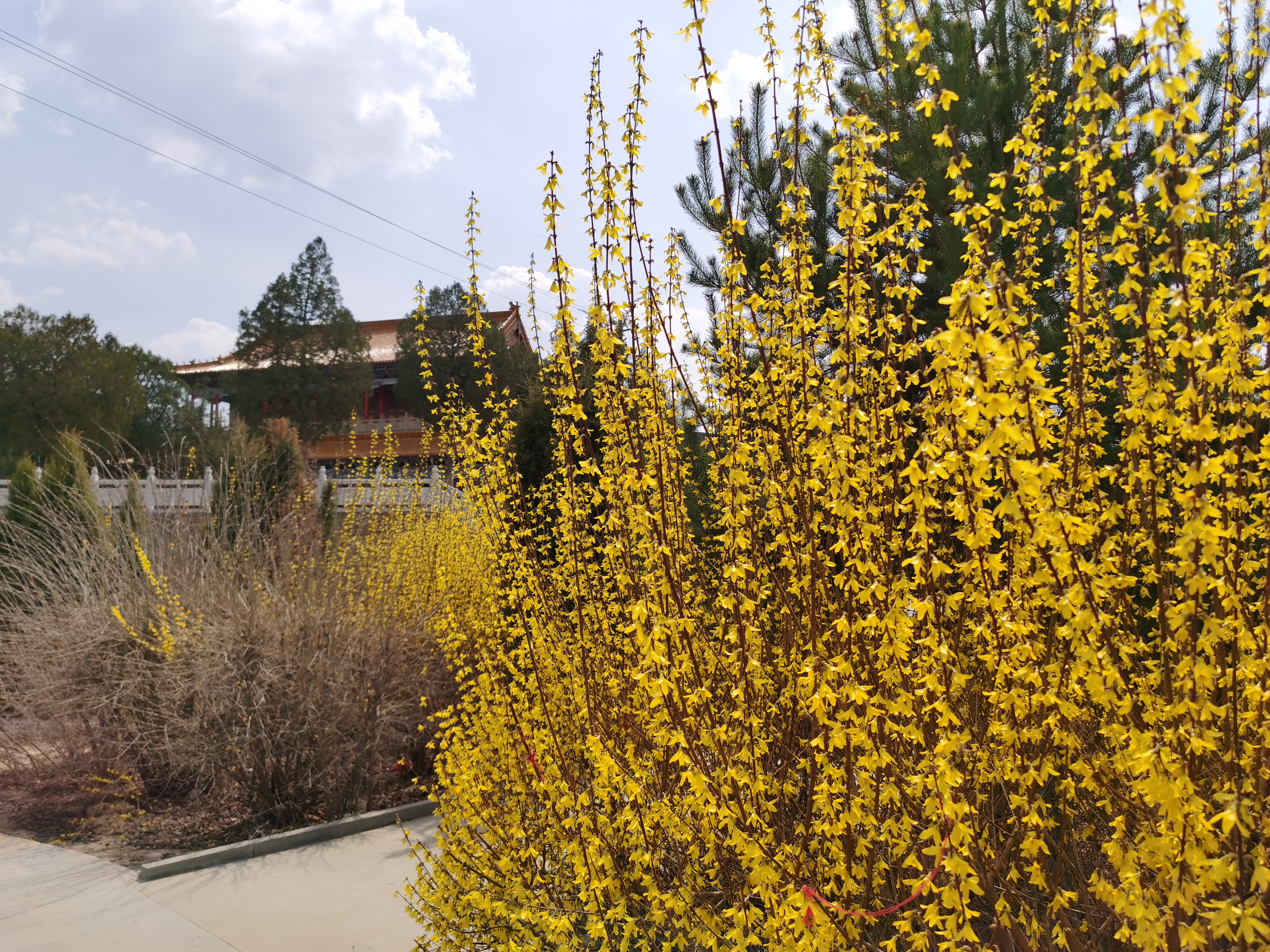 塞上榆林青云山掠影（多图）