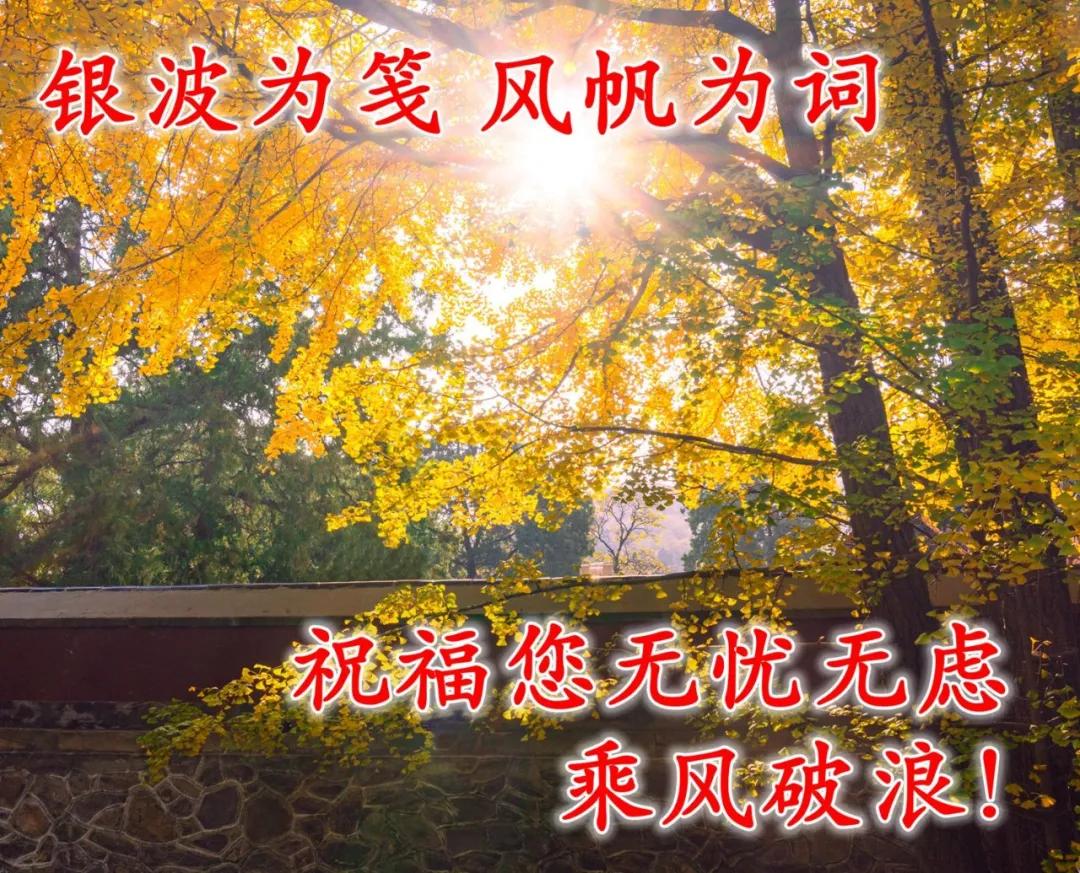 创意唯美早安图片带祝福语 亲人朋友圈早上好图片图片