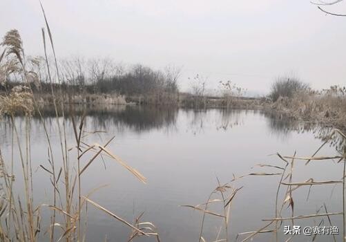 鱼塘消毒用什么药 有鱼的鱼塘怎么消毒