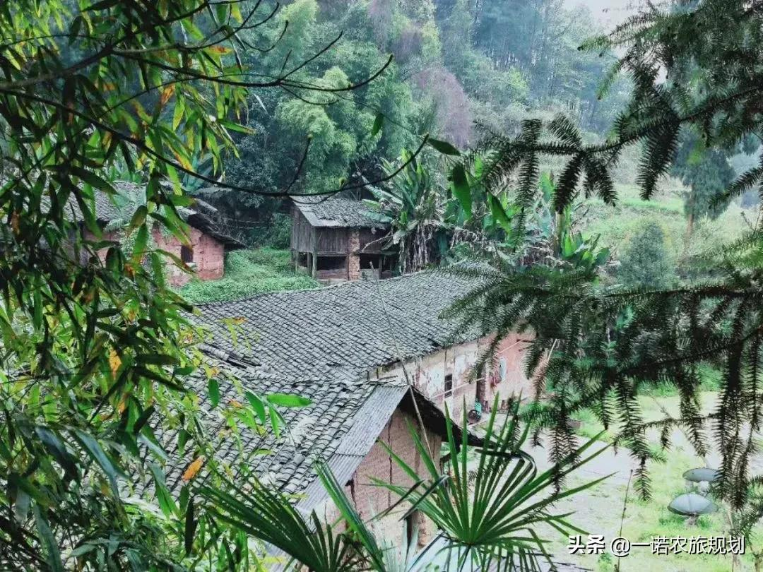 乡村产业，可申报的14项国家项目补贴