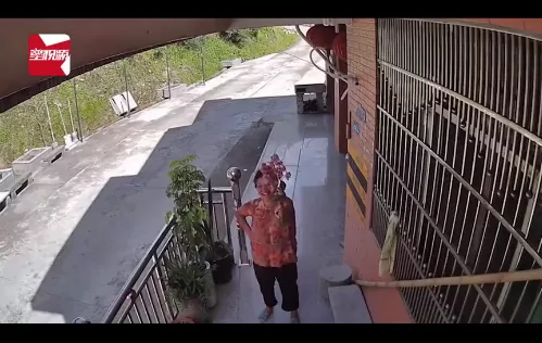 “云陪伴”,让我们与父母“共同生活”