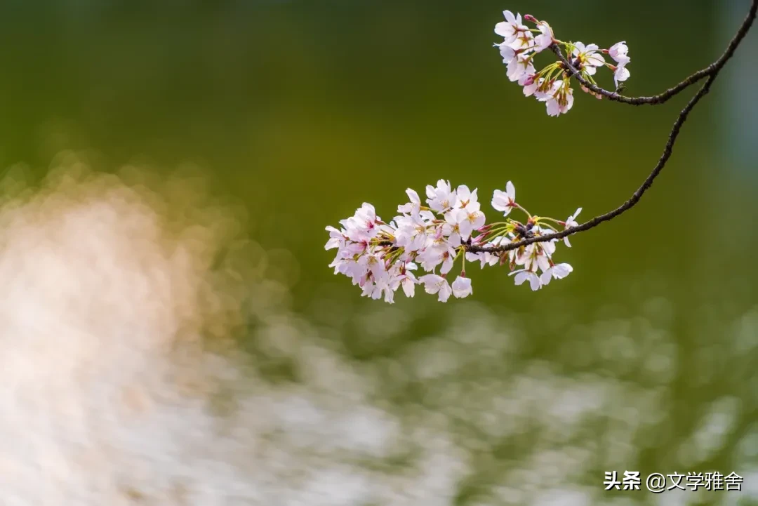江南，那一场不愿醒来的梦