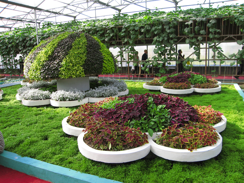 农业嘉年华玻璃温室的特点