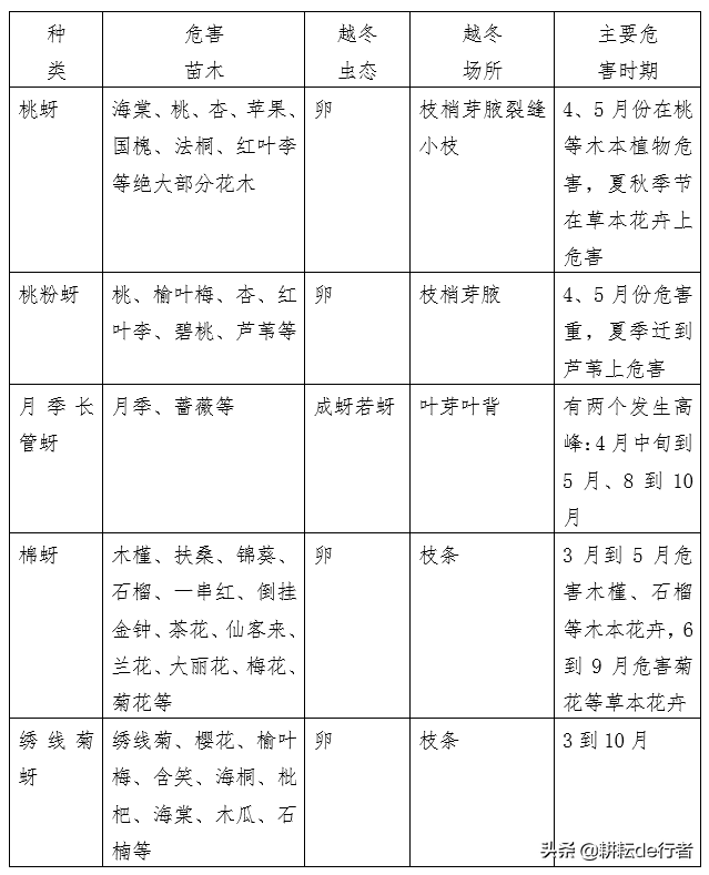 园林常见病虫害汇总-第7张图片-农百科