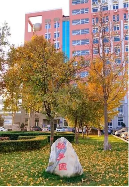 河北各高校秋景来了,有你的校园记忆吗?