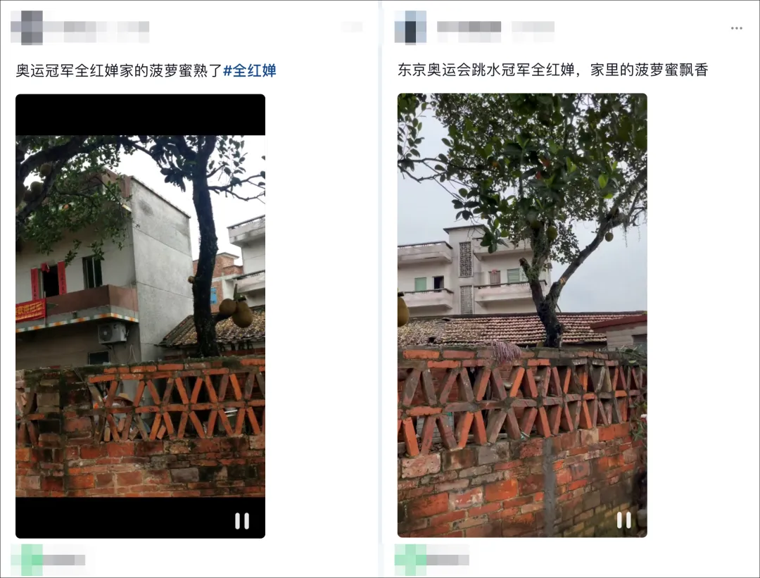 全红婵和全家人有多真诚，他们就有多丑陋