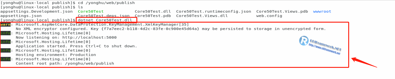 NET Core部署到linux最全解决方案，常规篇