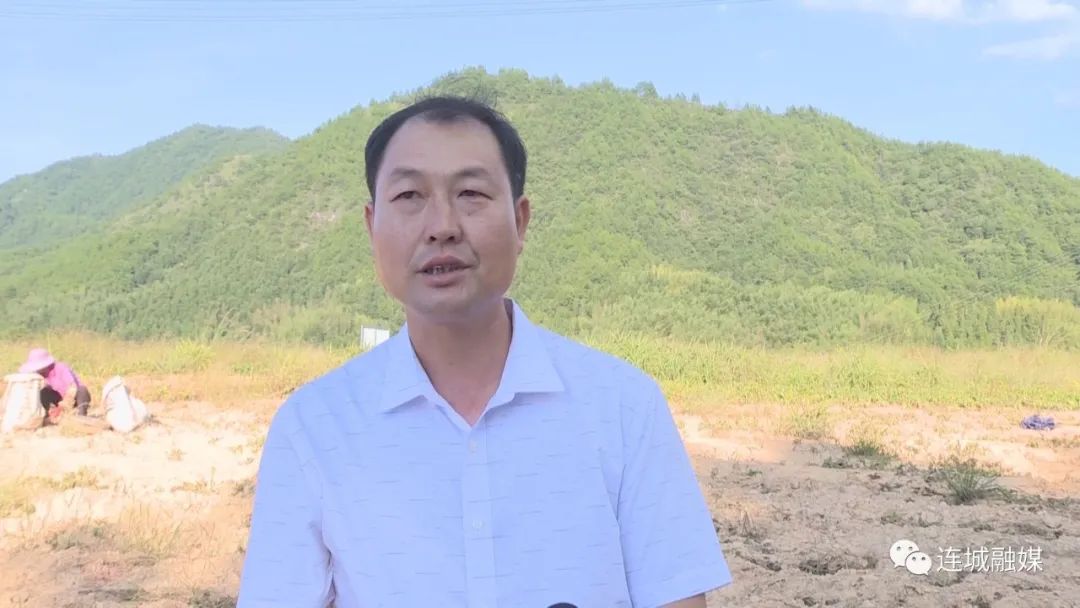「全面推進鄉村振興」連城：富硒地瓜喜獲豐收 農戶線上線下銷售忙