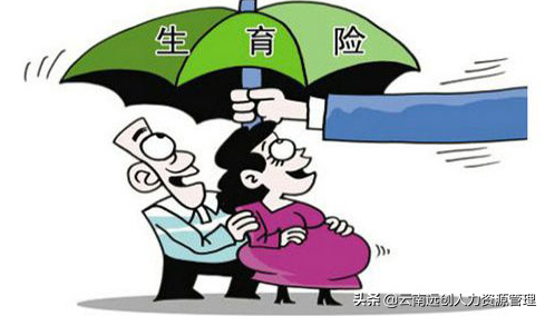 生育保险这些知识不清楚，等于白交 第1张