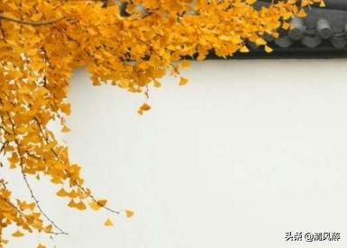 适合单身的个性签名 有内涵的单身语句大全图片