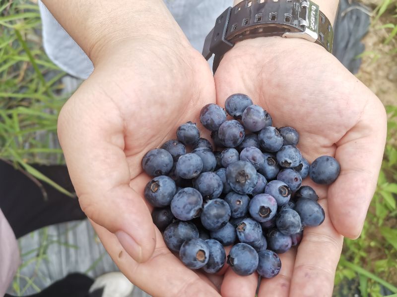 �����������ߣ�������˴�����