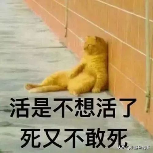 “我清华博士，儿子年年倒数第一”：不出意外