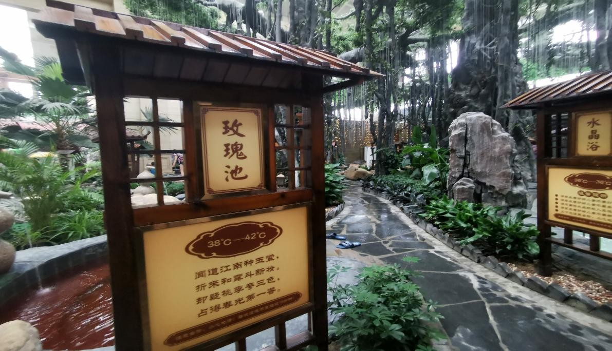 祖国颂丨打卡“火烈鸟之家”让十一“游”点意思
